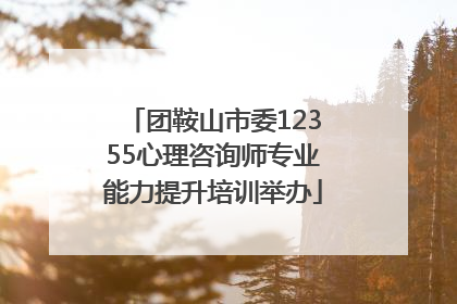 团鞍山市委12355心理咨询师专业能力提升培训举办