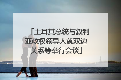 土耳其总统与叙利亚政权领导人就双边关系等举行会谈