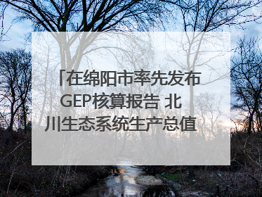 在绵阳市率先发布GEP核算报告 北川生态系统生产总值达590亿元｜新闻发布最前线