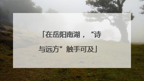 在岳阳南湖，“诗与远方”触手可及