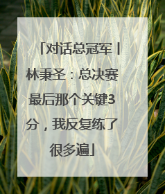 对话总冠军丨林秉圣：总决赛最后那个关键3分，我反复练了很多遍