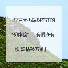 导盲犬杰瑞对宿迁的“初体验”：有爱亦有坎 温情破万难