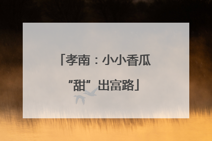 孝南：小小香瓜 “甜”出富路