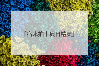 宿来拍丨夏日精灵