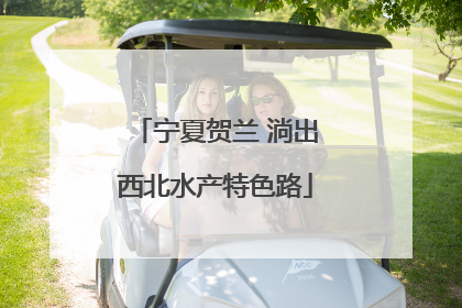 宁夏贺兰 淌出西北水产特色路