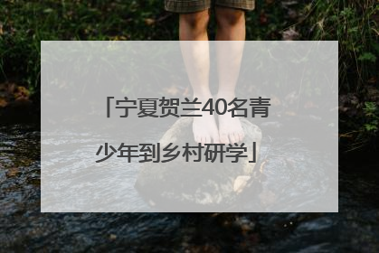 宁夏贺兰40名青少年到乡村研学