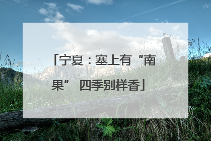 宁夏：塞上有“南果” 四季别样香