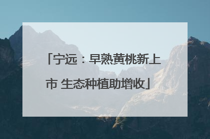 宁远：早熟黄桃新上市 生态种植助增收
