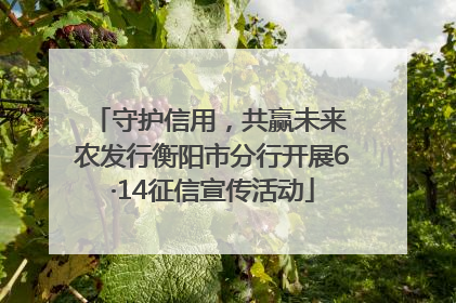 守护信用，共赢未来 农发行衡阳市分行开展6·14征信宣传活动