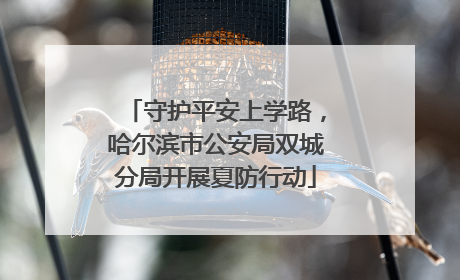 守护平安上学路，哈尔滨市公安局双城分局开展夏防行动