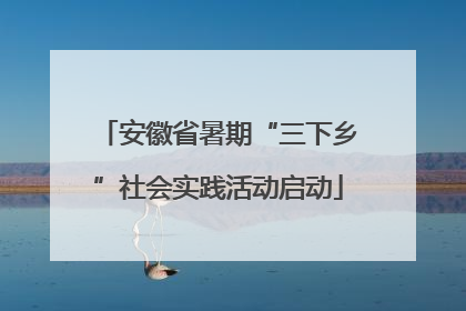 安徽省暑期“三下乡”社会实践活动启动