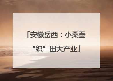 安徽岳西：小桑蚕“织”出大产业