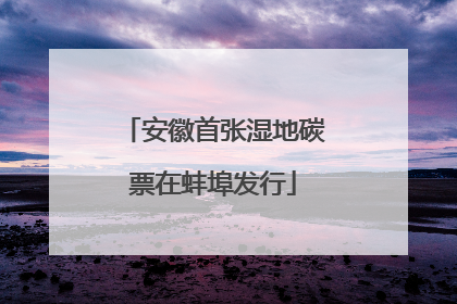 安徽首张湿地碳票在蚌埠发行
