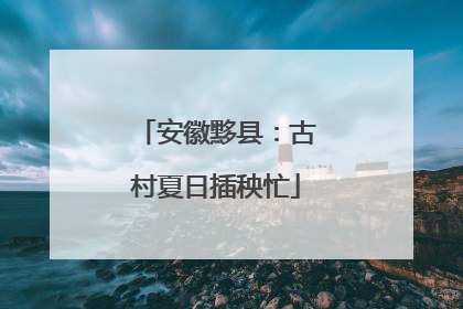 安徽黟县：古村夏日插秧忙