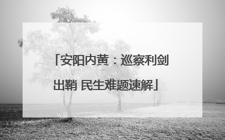 安阳内黄：巡察利剑出鞘 民生难题速解
