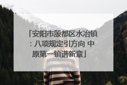 安阳市殷都区水冶镇：八项规定引方向 中原第一镇谱新章