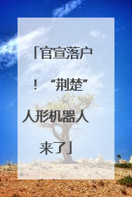 官宣落户！“荆楚”人形机器人来了