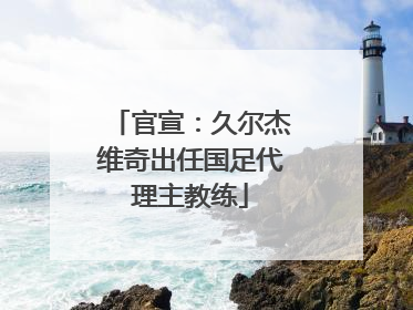 官宣：久尔杰维奇出任国足代理主教练