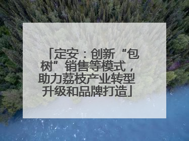 定安：创新“包树”销售等模式，助力荔枝产业转型升级和品牌打造