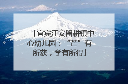 宜宾江安留耕镇中心幼儿园：“芒”有所获，学有所得