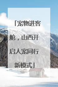 宠物进客舱，山西开启人宠同行新模式