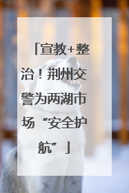宣教+整治！荆州交警为两湖市场“安全护航”