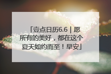 壹点日历6.6｜愿所有的美好，都在这个夏天如约而至！早安
