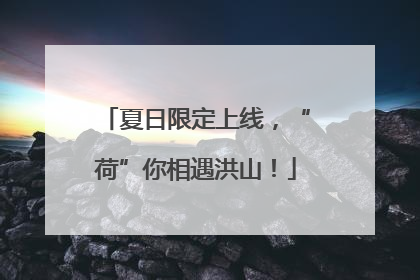 夏日限定上线，“荷”你相遇洪山！