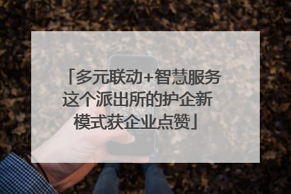 多元联动+智慧服务 这个派出所的护企新模式获企业点赞