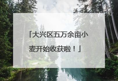 大兴区五万余亩小麦开始收获啦！