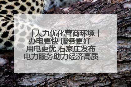 大力优化营商环境丨办电更快 服务更好 用电更优 石家庄发布电力服务助力经济高质量发展八项措施