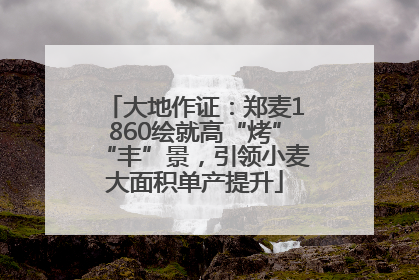大地作证：郑麦1860绘就高“烤”“丰”景，引领小麦大面积单产提升