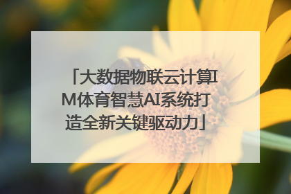 大数据物联云计算IM体育智慧AI系统打造全新关键驱动力