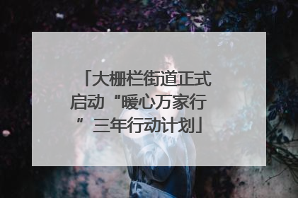 大栅栏街道正式启动“暖心万家行”三年行动计划
