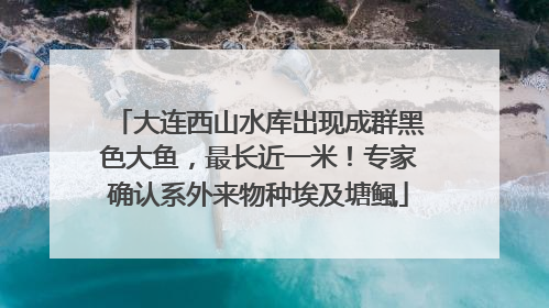 大连西山水库出现成群黑色大鱼，最长近一米！专家确认系外来物种埃及塘鲺