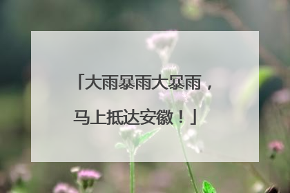 大雨暴雨大暴雨，马上抵达安徽！