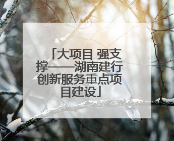大项目 强支撑——湖南建行创新服务重点项目建设