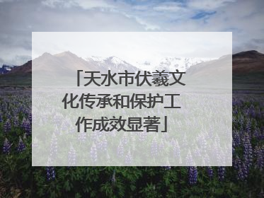 天水市伏羲文化传承和保护工作成效显著