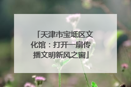 天津市宝坻区文化馆：打开一扇传播文明新风之窗