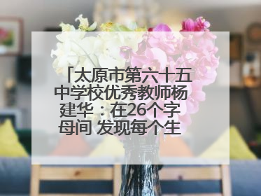 太原市第六十五中学校优秀教师杨建华：在26个字母间 发现每个生命的独特光芒