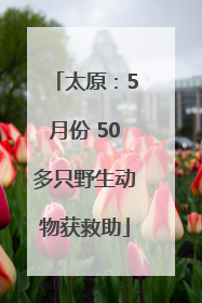 太原：5月份 50多只野生动物获救助