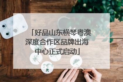 好品山东横琴粤澳深度合作区品牌出海中心正式启动