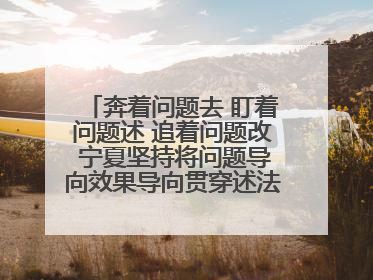 奔着问题去 盯着问题述 追着问题改 宁夏坚持将问题导向效果导向贯穿述法工作始终
