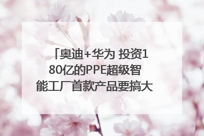 奥迪+华为 投资180亿的PPE超级智能工厂首款产品要搞大事情？｜粤港澳车展
