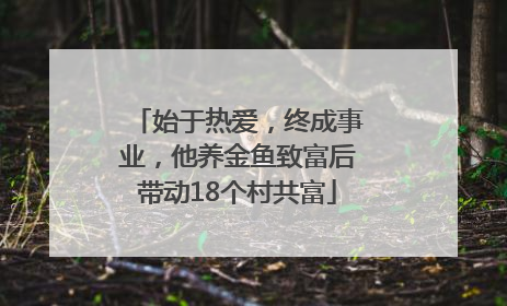 始于热爱，终成事业，他养金鱼致富后带动18个村共富