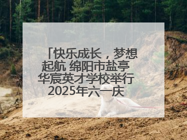 快乐成长，梦想起航 绵阳市盐亭华宸英才学校举行2025年六一庆祝活动