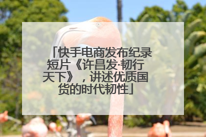 快手电商发布纪录短片《许昌发·韧行天下》，讲述优质国货的时代韧性