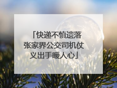 快递不慎遗落 张家界公交司机仗义出手暖人心