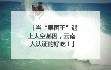当“果菌王”遇上太空基因，云南人认证的好吃！