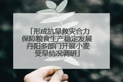形成抗旱救灾合力 保障粮食生产稳定发展 丹阳多部门开展小麦受旱情况调研